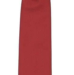 Young Hero Solmio Regates4