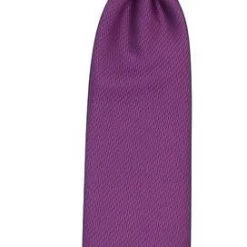 Young Hero Solmio Regates3