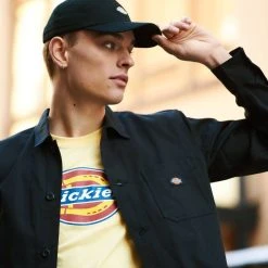 Dickies Lippalakki 6 Panel Logo -halonen shop 2001003651501 2 1
