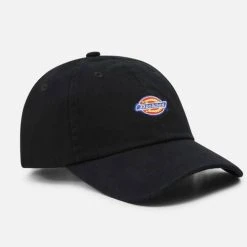 Dickies Lippalakki 6 Panel Logo -halonen shop 226361 0